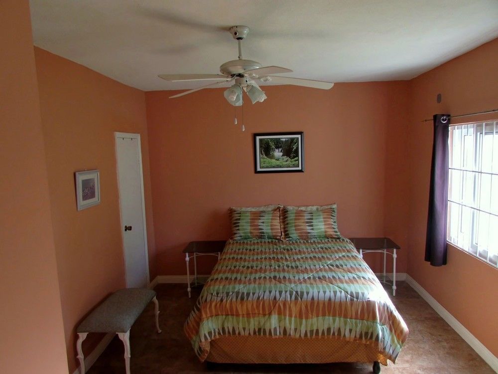 Centrally Located Guest Apartments Кингстън Екстериор снимка